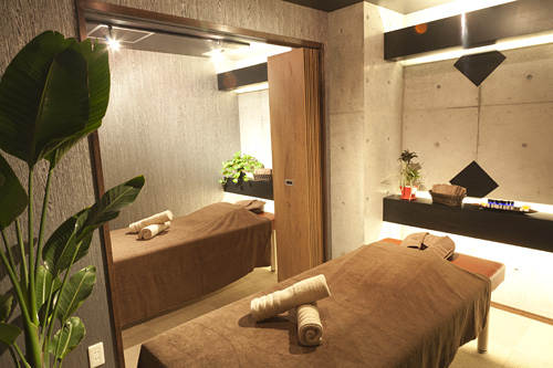 ボディーケアツインバージョン